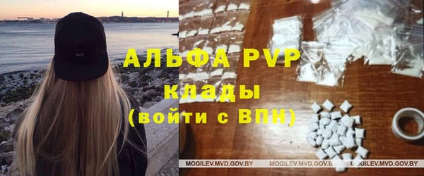apvp Алзамай