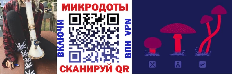 Псилоцибиновые грибы ЛСД  магазин    Андреаполь 