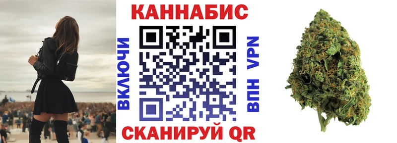 где купить   Андреаполь  Канабис план 